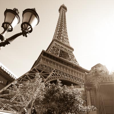 David Temples Photography - Wedding, Senior, Family Photographer