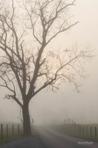111008-Smokies-043